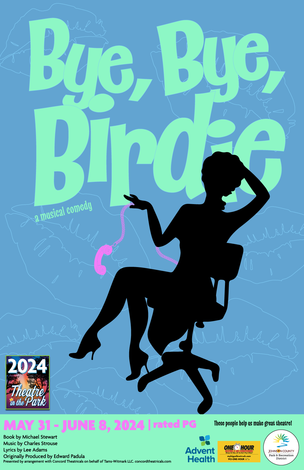 Bye Bye Birdie Show Poster