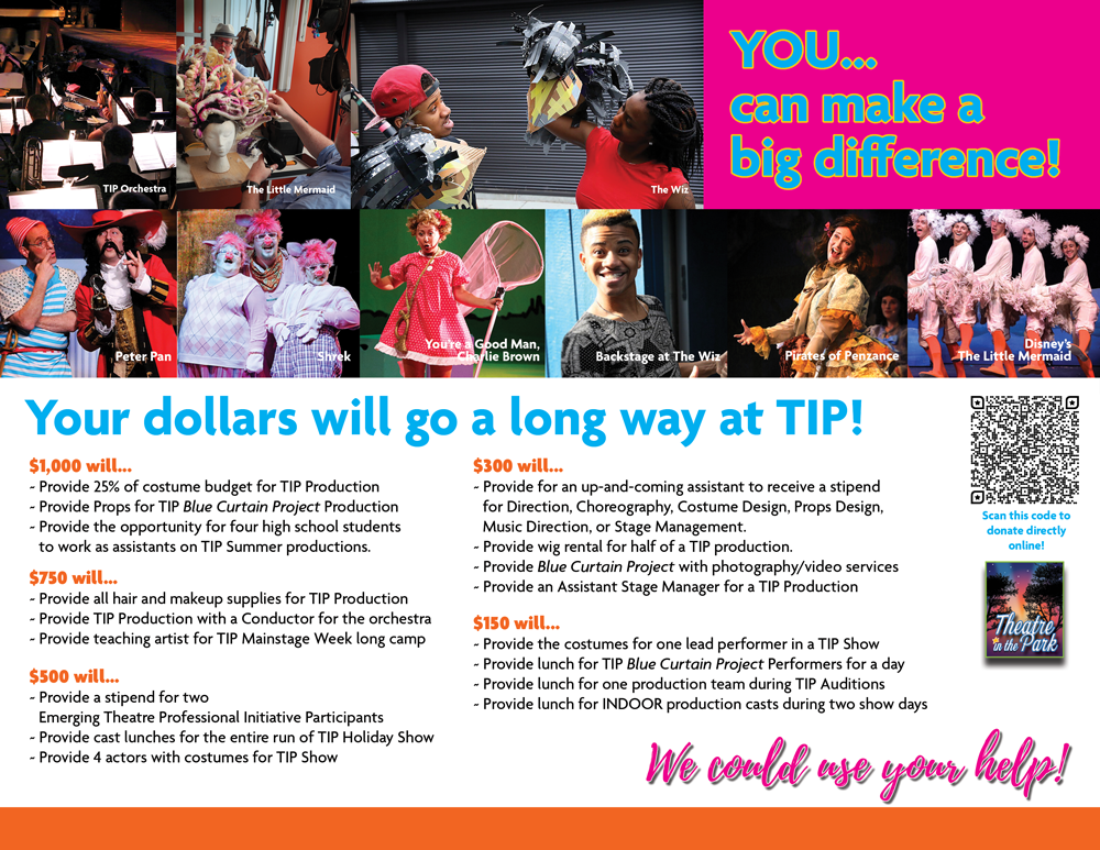 sponsor package page outlining what sponsor dollars can achieve for TIP