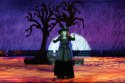 <em>The Wizard of Oz</em> • 2009