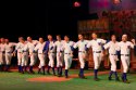 <p>
Damn Yankees • 2013</p>
